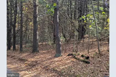 7 Community Pond Drive, Catawissa, PA 17820 - Photo 49