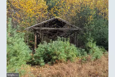 7 Community Pond Drive, Catawissa, PA 17820 - Photo 35