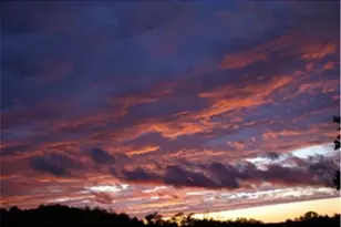 Lot 10 Carolannes Way, West Chester, PA 19382 - Photo 25