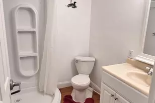 16 Patterdale Pl, Downingtown, PA 19335 - Photo 45