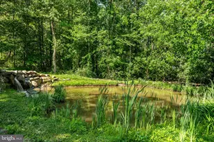 186 Bragg Hill Rd, West Chester, PA 19382 - Photo 63