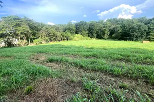 117 Chandler Mill Rd, Kennett Square, PA 19348 - Photo 5