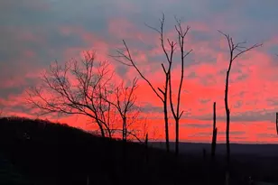 498 Major John Way, Malvern, PA 19355 - Photo 5