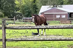 410 Brandywine Dr Brandywine Dr, West Chester, PA 19382 - Photo 3