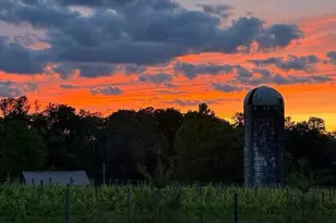 318 Guglielma Springett Dr, West Grove, PA 19390 - Photo 31