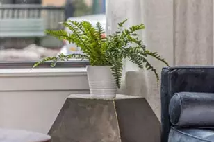 131 Bridge St, Phoenixville, PA 19460 - Photo 51