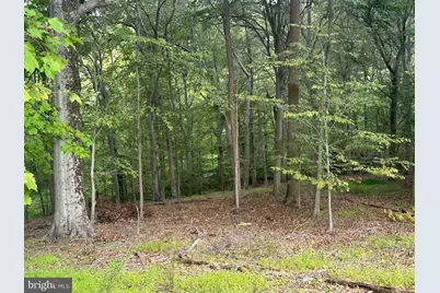 547 Webb Road - Rd, Chadds Ford, PA 19317 - Photo 61