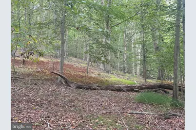 547 Webb Road - Rd, Chadds Ford, PA 19317 - Photo 63