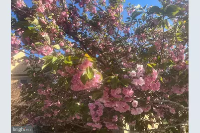 1771 Indian Run Road, Malvern, PA 19355 - Photo 49