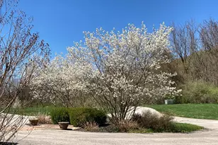 1771 Indian Run Rd, Malvern, PA 19355 - Photo 51