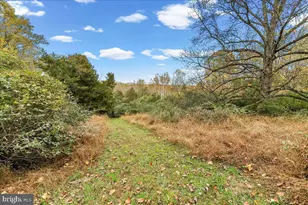 132 Hess Mill Rd, Landenberg, PA 19350 - Photo 63