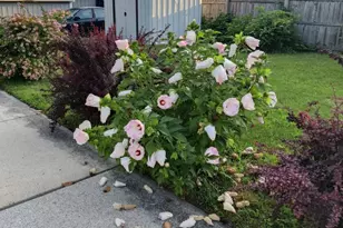 431 Broad St, Spring City, PA 19475 - Photo 41