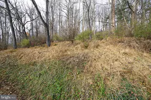 329 Laurel Woods Rd, Landenberg, PA 19350 - Photo 43