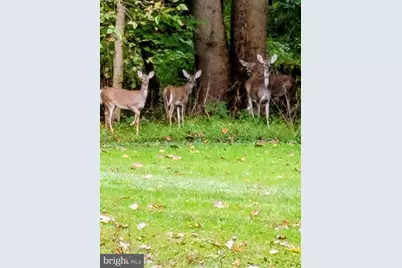 929 N Manor Road, Honey Brook, PA 19344 - Photo 43