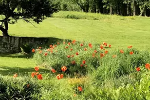 818 Burrows Run Rd, Chadds Ford, PA 19317 - Photo 83