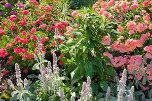 219 Delaware Ave, Oxford, PA 19363 - Photo 53