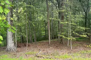 547 Webb Rd - Ad, Chadds Ford, PA 19317 - Photo 53