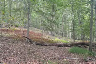 547 Webb Rd - Md, Chadds Ford, PA 19317 - Photo 45