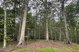 547 Webb Rd - Md, Chadds Ford, PA 19317 - Photo 43