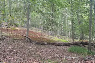 547 Webb Rd -Dd, Chadds Ford, PA 19317 - Photo 97