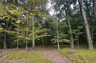 547 Webb Rd -Dd, Chadds Ford, PA 19317 - Photo 95