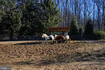 201 Pine Swamp Road, Elverson, PA 19520 - Photo 53