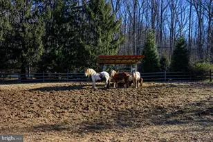 201 Pine Swamp Rd, Elverson, PA 19520 - Photo 51