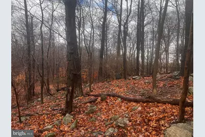 327 Hibernia Rd., Coatesville, PA 19320 - Photo 3