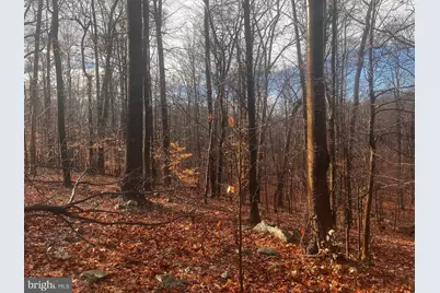 327 Hibernia Rd., Coatesville, PA 19320 - Photo 5