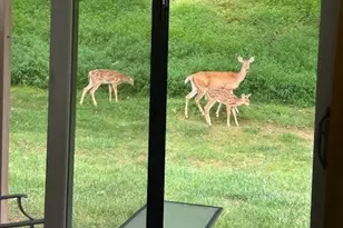 28 Flintlock Ln, Chesterbrook, PA 19087 - Photo 17