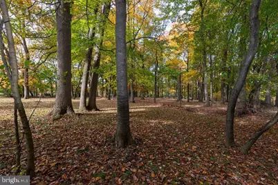 54 Hannum Drive, Coatesville, PA 19320 - Photo 39