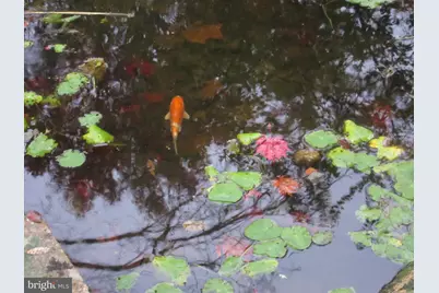 12 Phillips Lane, Chester Springs, PA 19425 - Photo 41