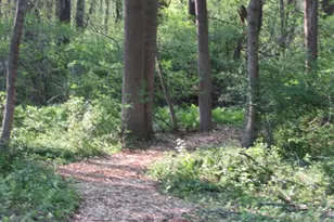 12 Phillips Ln, Chester Springs, PA 19425 - Photo 43