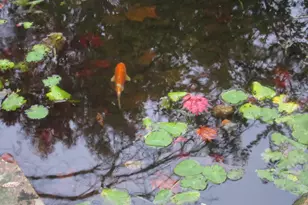 12 Phillips Ln, Chester Springs, PA 19425 - Photo 47