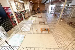 301 Corner Ketch Rd, Downingtown, PA 19335 - Photo 57