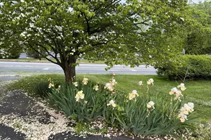 1038 Phoenixville Pike, West Chester, PA 19380 - Photo 35