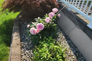 412 Aspen St, Coatesville, PA 19320 - Photo 31