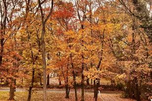 1288 Copeland School Rd, West Chester, PA 19380 - Photo 39