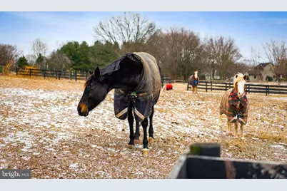 1202 W Bridge Street, Spring City, PA 19475 - Photo 67
