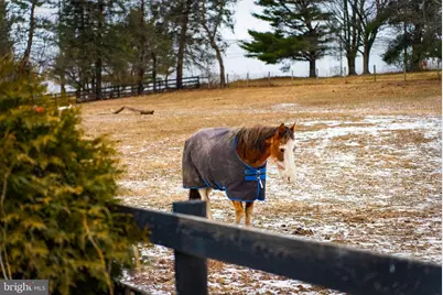 1202 W Bridge Street, Spring City, PA 19475 - Photo 63