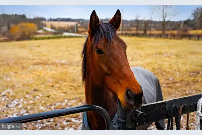 1202 W Bridge Street, Spring City, PA 19475 - Photo 53