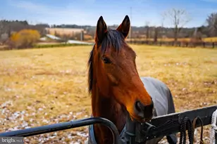 1202 W Bridge St, Spring City, PA 19475 - Photo 53