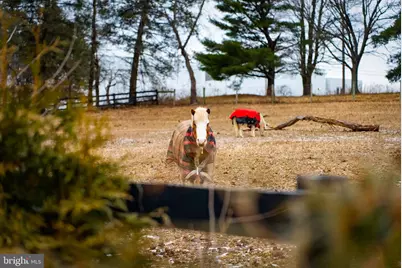 1202 W Bridge Street, Spring City, PA 19475 - Photo 65