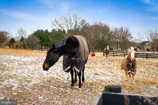 1202 W Bridge St, Spring City, PA 19475 - Photo 67