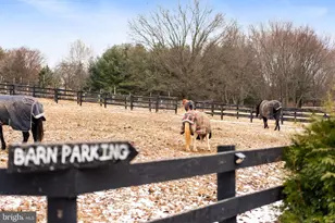 1202 W Bridge St, Spring City, PA 19475 - Photo 35