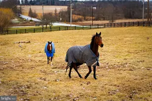 1202 W Bridge St, Spring City, PA 19475 - Photo 43