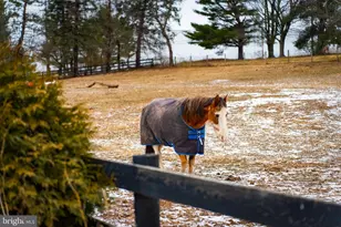 1202 W Bridge St, Spring City, PA 19475 - Photo 63