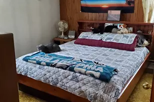 105 Wilson, Phoenixville, PA 19460 - Photo 13