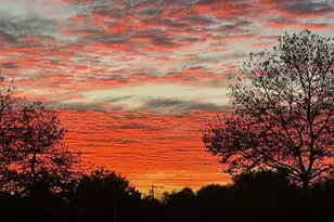 723 Franklin St, Coatesville, PA 19320 - Photo 49