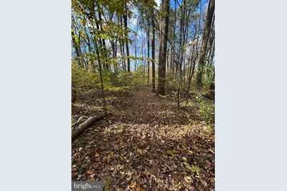 0 Bertolet School Road, Spring City, PA 19475 - Photo 13